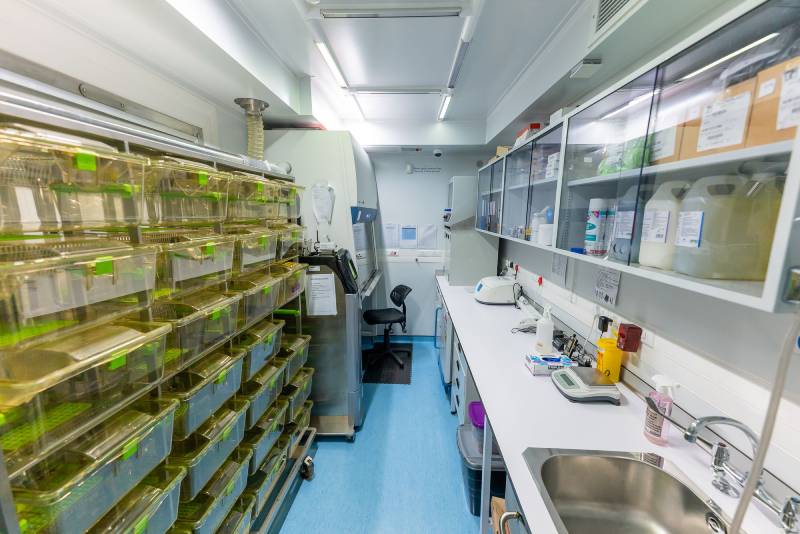 Animal Housing System