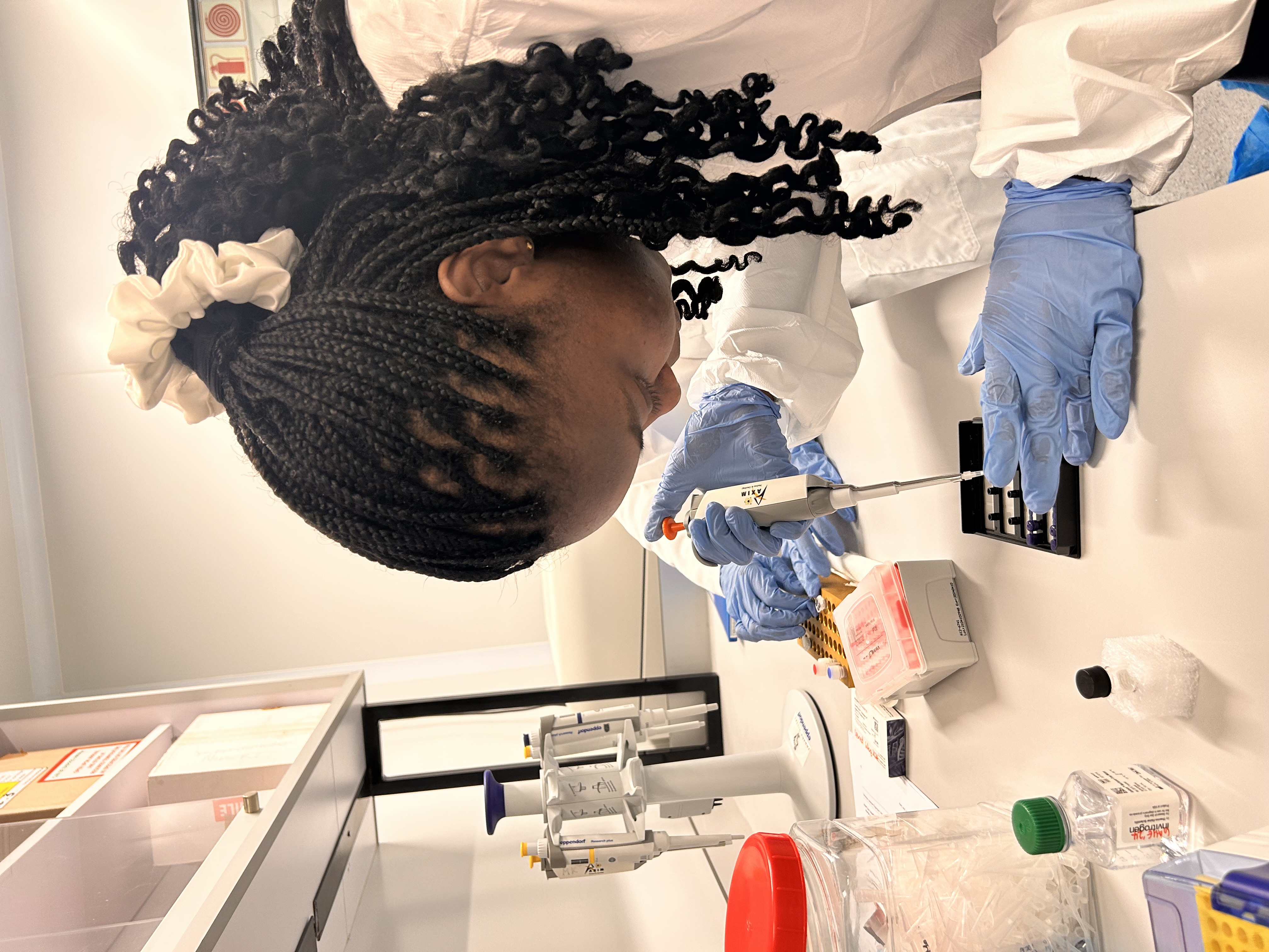 Laboratory Equipment & Capabilities