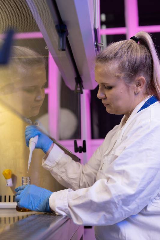 Optical Imaging System